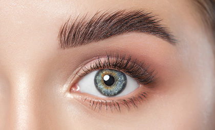 Eyebrow Transplant 06 1